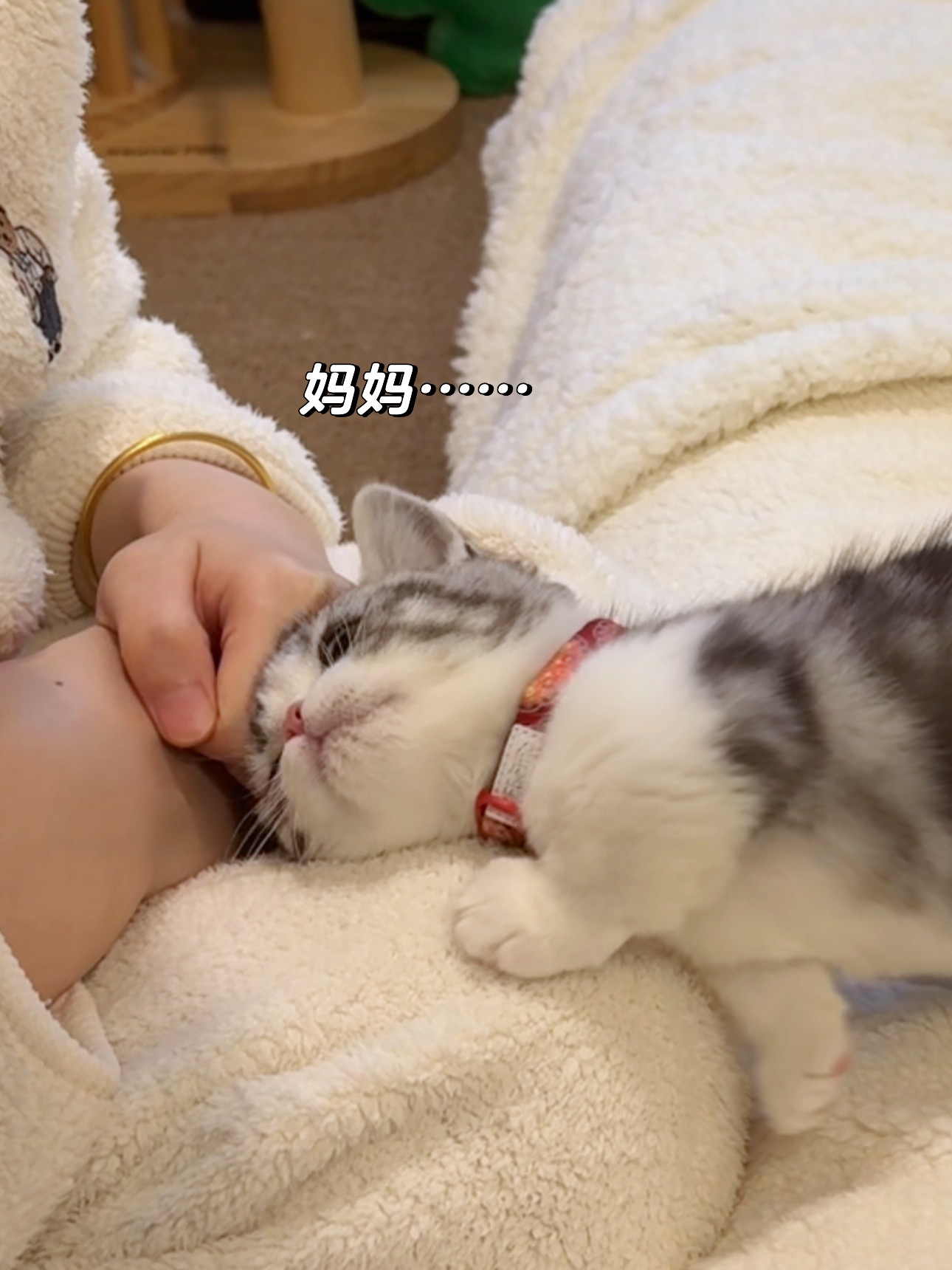 贴过来的一瞬间心都要化了