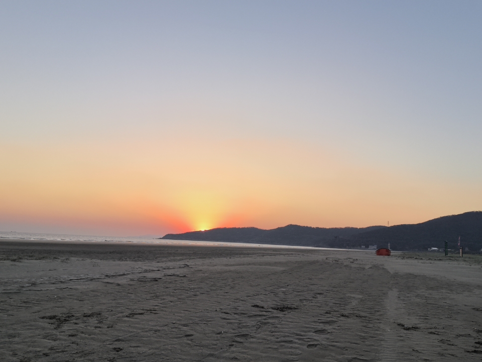 和小狗一起看日出