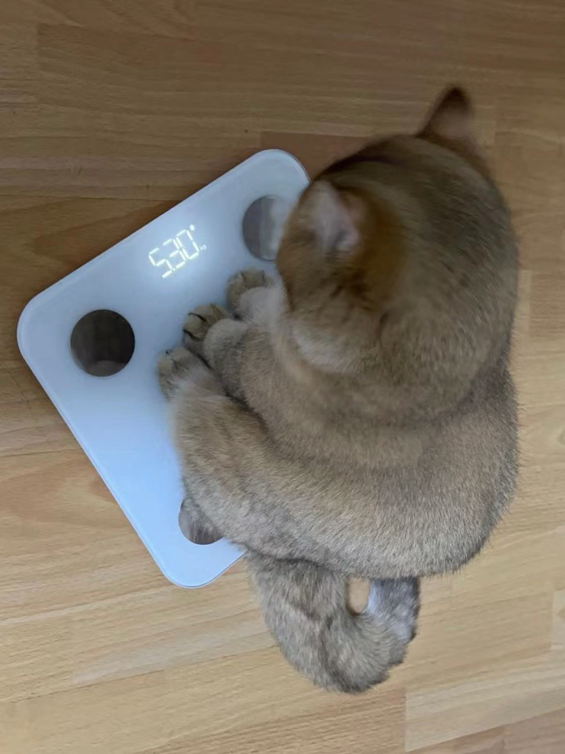 干啥啥不行，吃啥啥没够