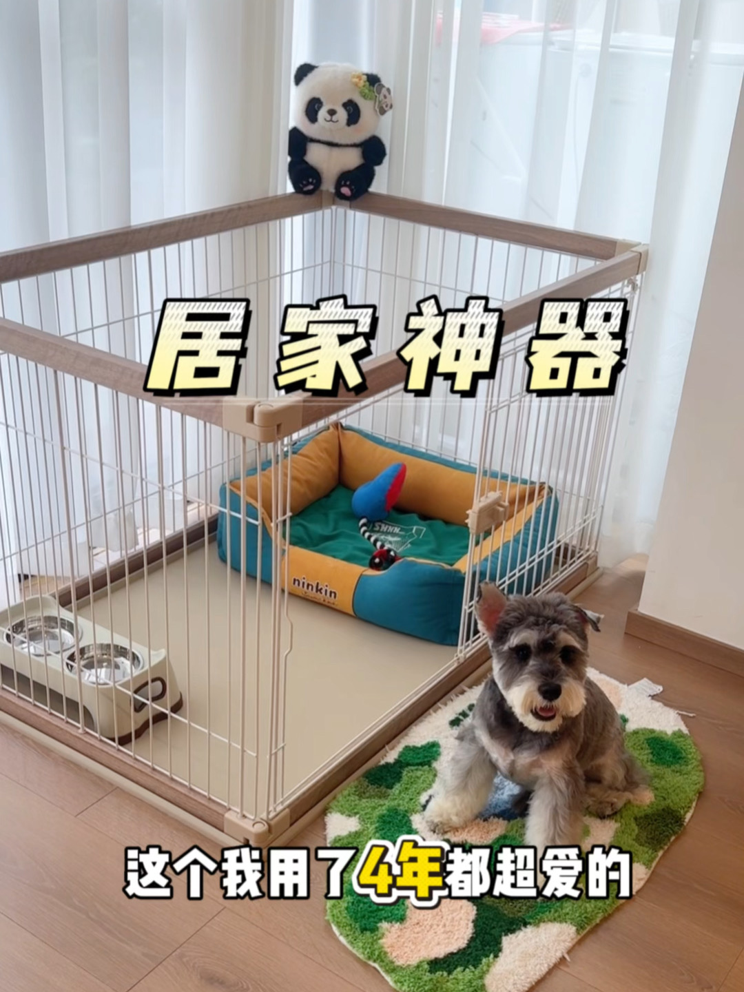 长期主义狗围栏｜用四年还超爱的小狗之家🏠