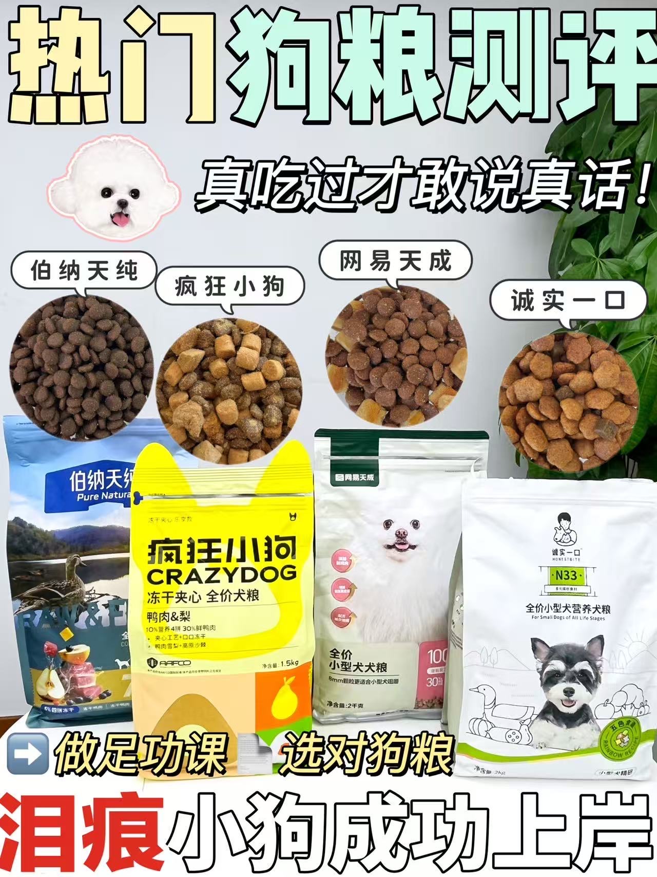 怎么养出小白狗？网红泪痕调理狗粮测评！