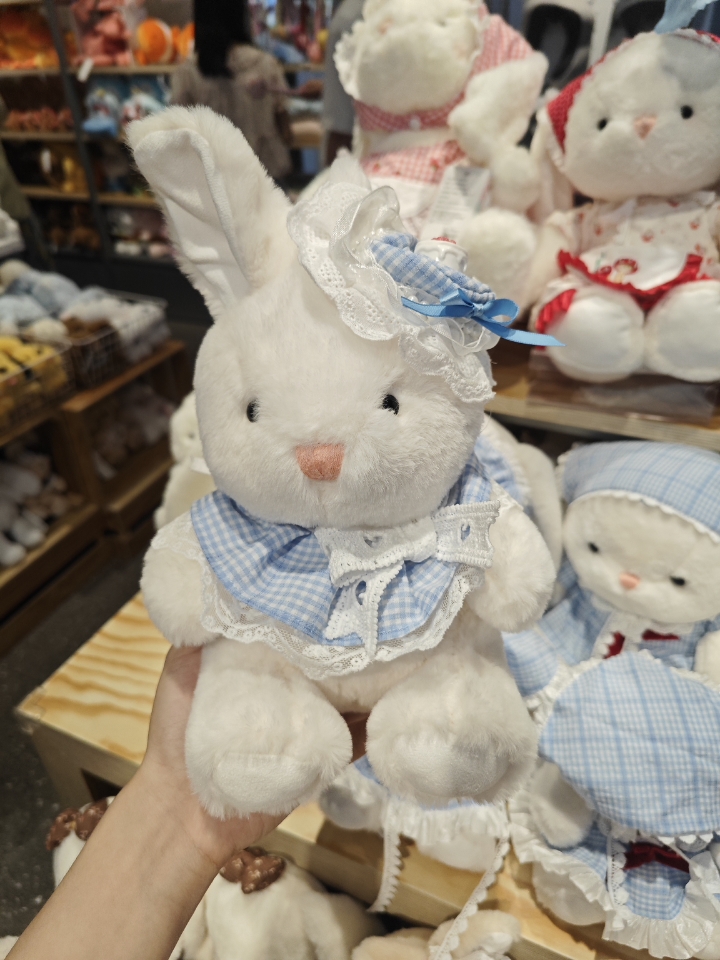 你的逛街博主带你出门看兔子啦~