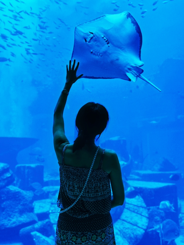 原来迪拜不止沙漠，是被蓝浪吻过的奢华海岛🌊