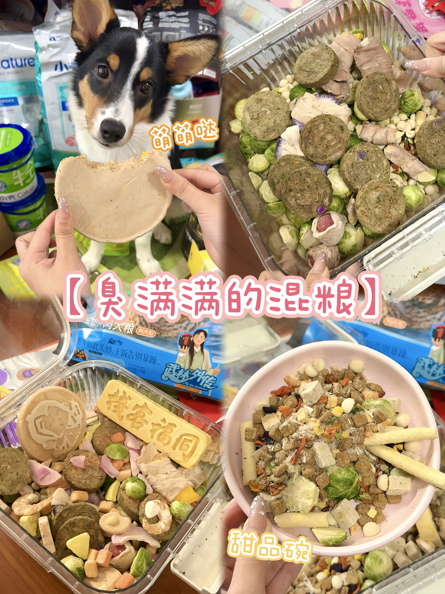 你的电子小狗混粮已就位…有满满版😚