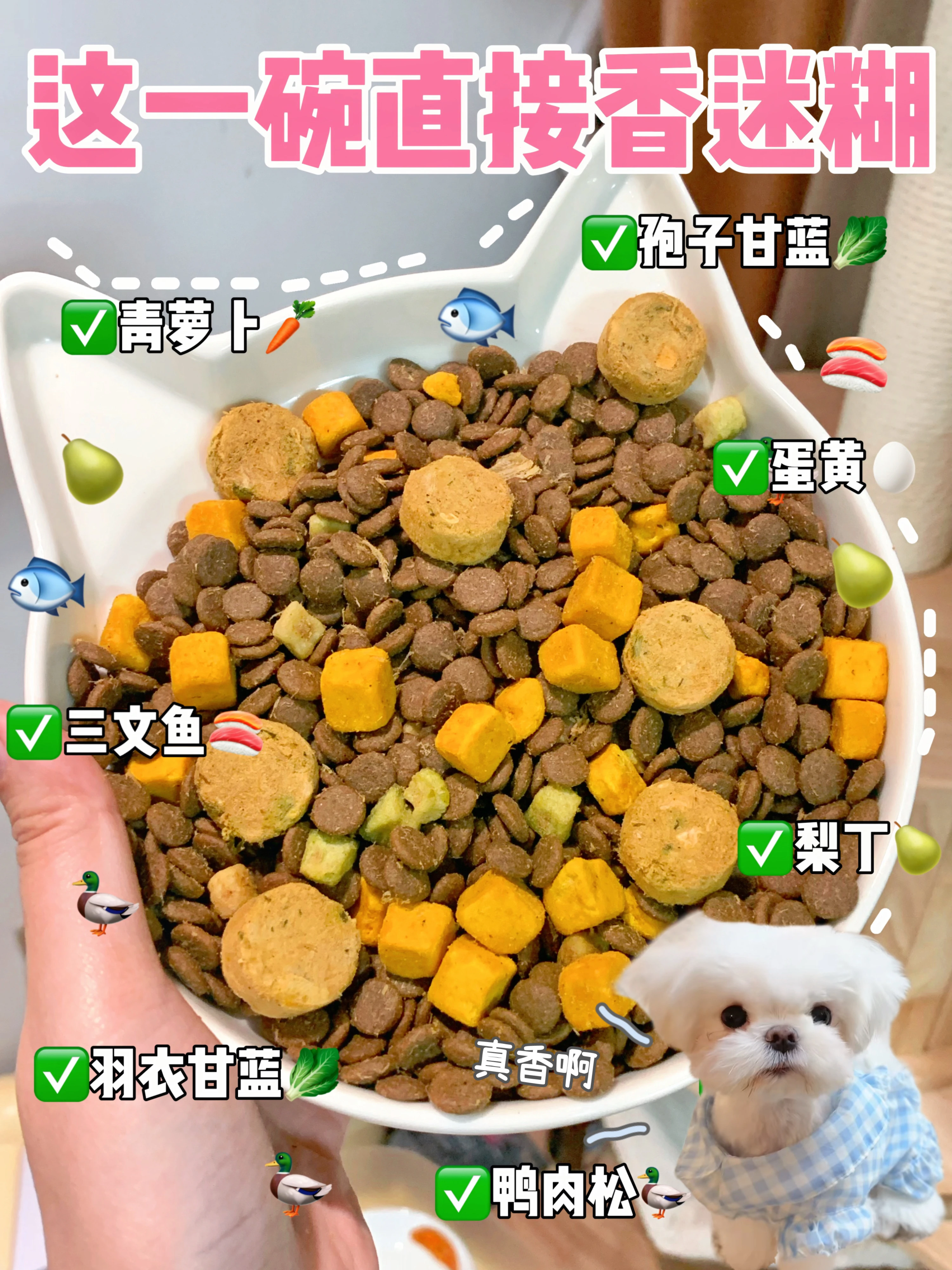 狗粮你别光去征服挑食小狗，人也想吃…