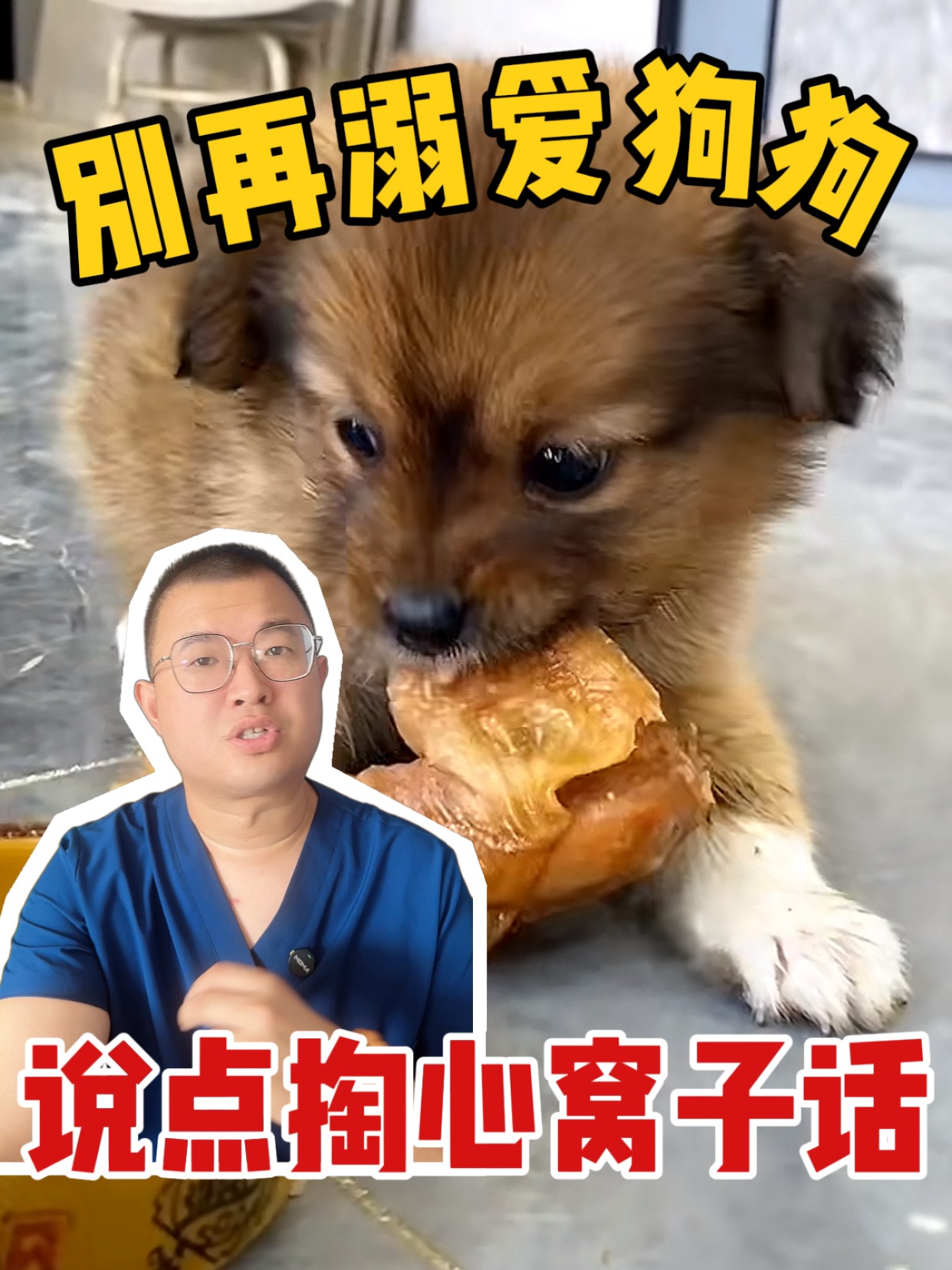 养狗人掏心窝子话：别再溺爱弄巧成拙