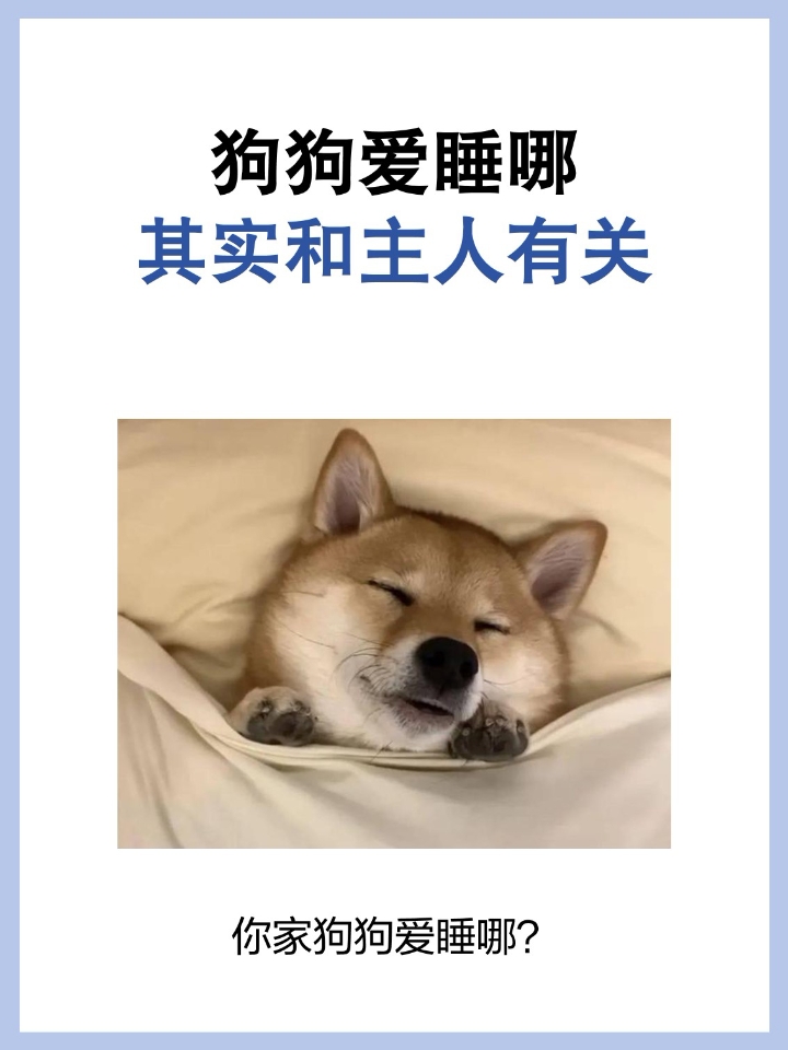 关于狗狗神经炎，不要放弃 狗狗神经炎一般检查是没办法确诊的，需要做核磁共振（新疆在2500左右）每个城市的具体价格耶不太一样我只是说个大概[失望R] - ⚠主要症状： 1.食欲不振  2.精神萎靡  3.弓背走路  4.后驱弯曲无力，后腿无力  - ⚠神经炎的主要诱因： 1、长期缺乏维生素B群 2、体内有寄生虫/微量元素缺少 3、自身免疫系统出现问题， 4、先天性神经问题 - ⚠根据我的上篇笔记比...