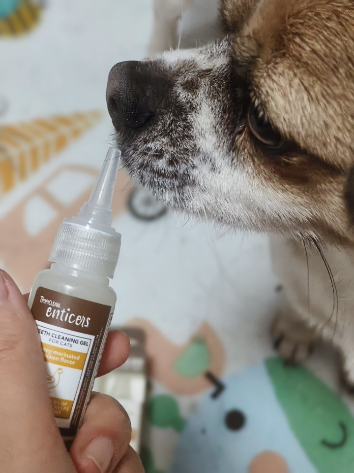 多美洁宠物液体牙膏测评！