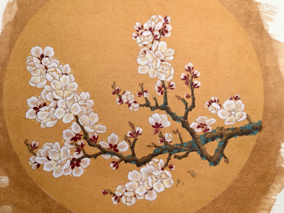 国画工笔杏花图阶梯训练