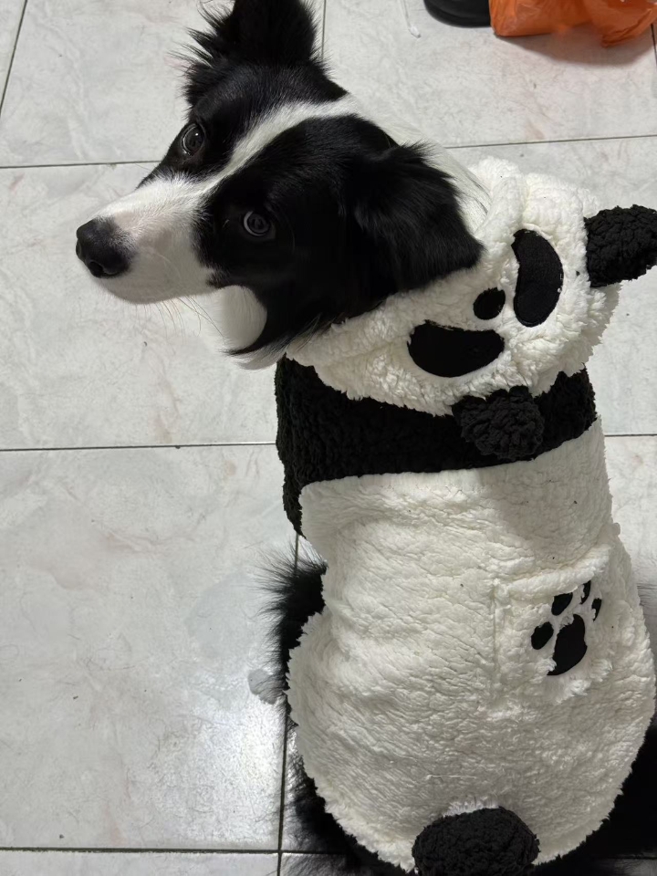 西五街