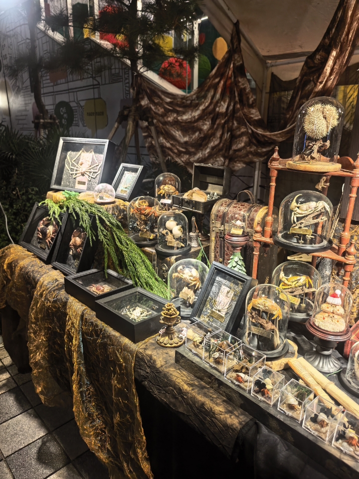 圣诞节🎄小摊真是爱惨了极繁主义