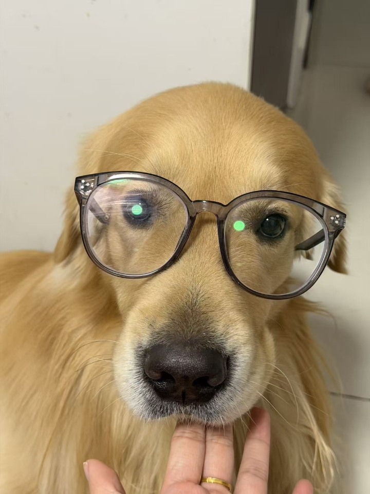 昨天发现狗子脖子一抽一抽的，我还以为是感冒了，或者中毒了，就赶紧带去医院了，拍了x光说骨头没事儿，也不像中毒的表现，大夫怀疑是颈椎病 说实话我是第一次知道狗还会得颈椎病，让我去大医院再去检查，可能要做核磁共振，因为狗子10岁了，不知道能不能全麻，等明天去了问问大夫 症状就是触摸脖子一抽一抽，哆嗦，不爱动，食欲一般，看了小红书其他人给狗狗吃药，我也买了一些今天第一天吃，看看什么情况 维生素B1 一天...