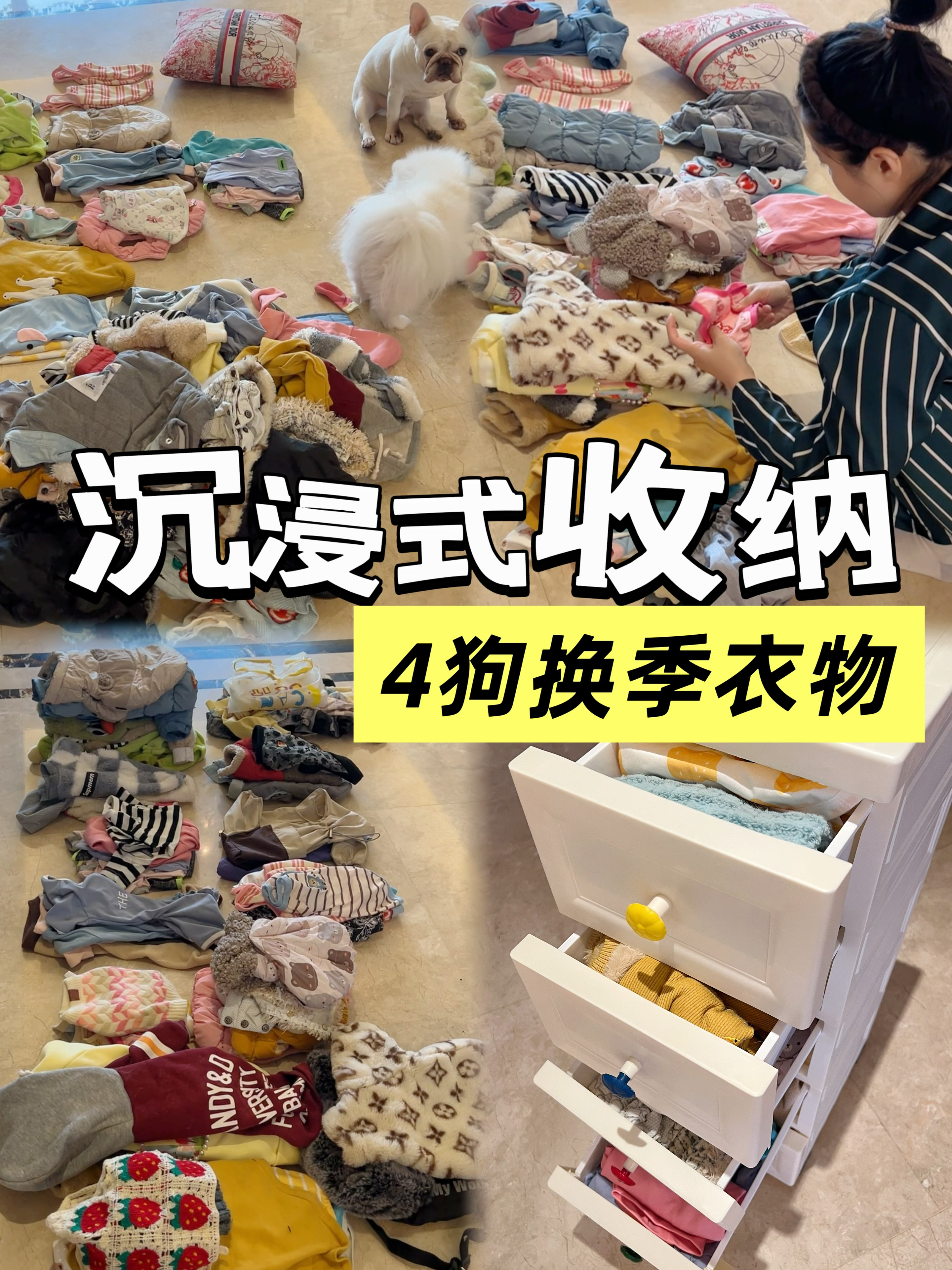 沉浸式｜4只狗狗换季衣服整理收纳🥰