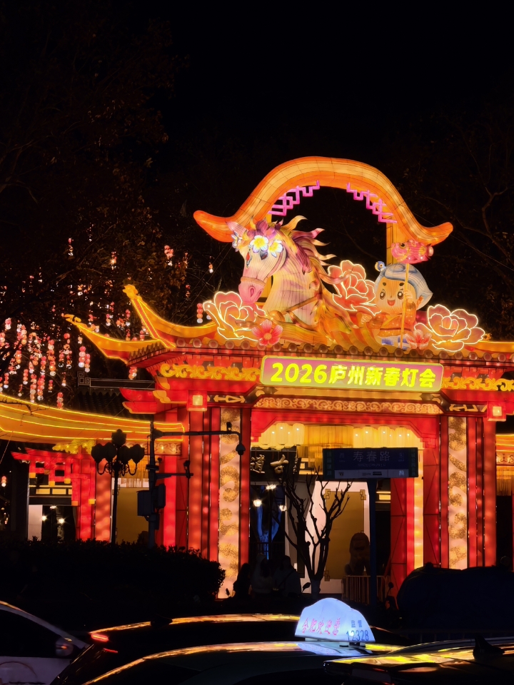 逍遥津灯会🏮是合肥专属的新年氛围❗️