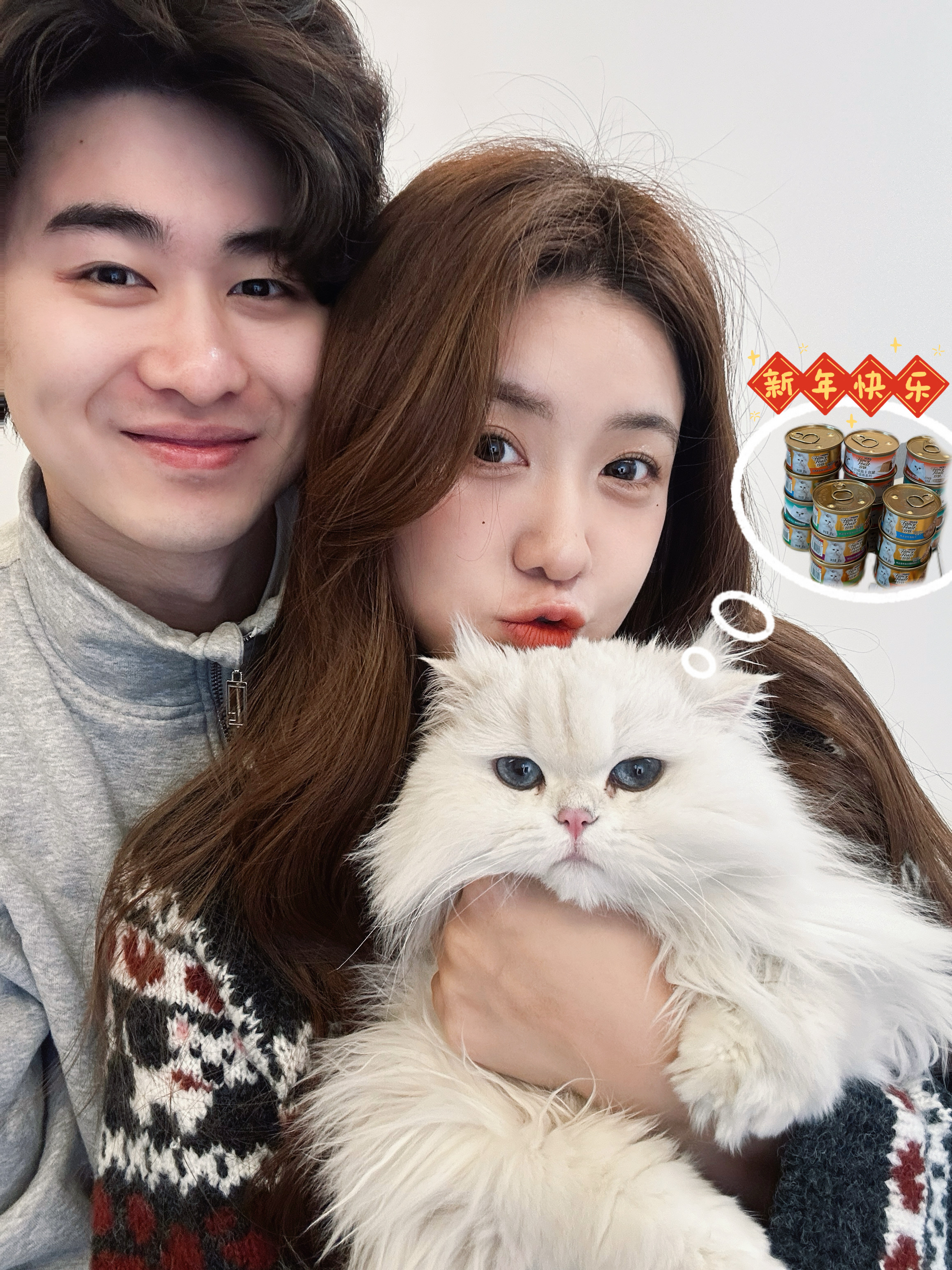 携小猫一起过新年！2026岁岁更安康