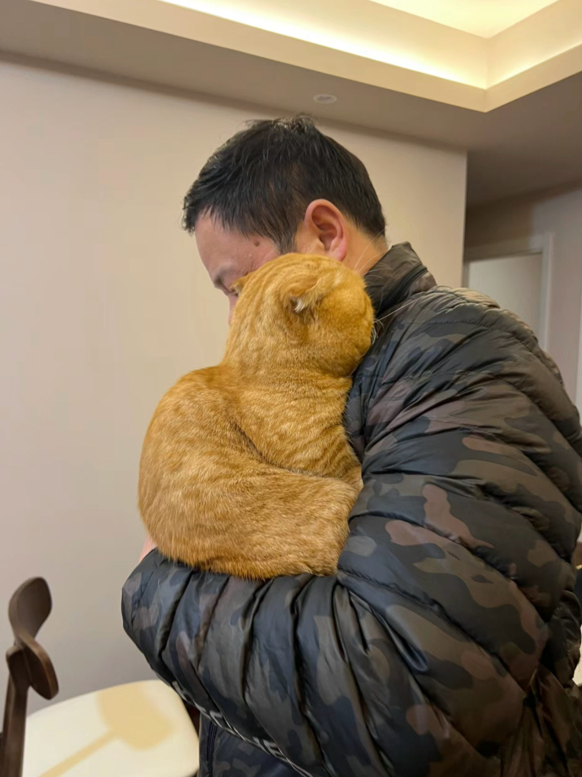 养猫到底有什么用啊？！