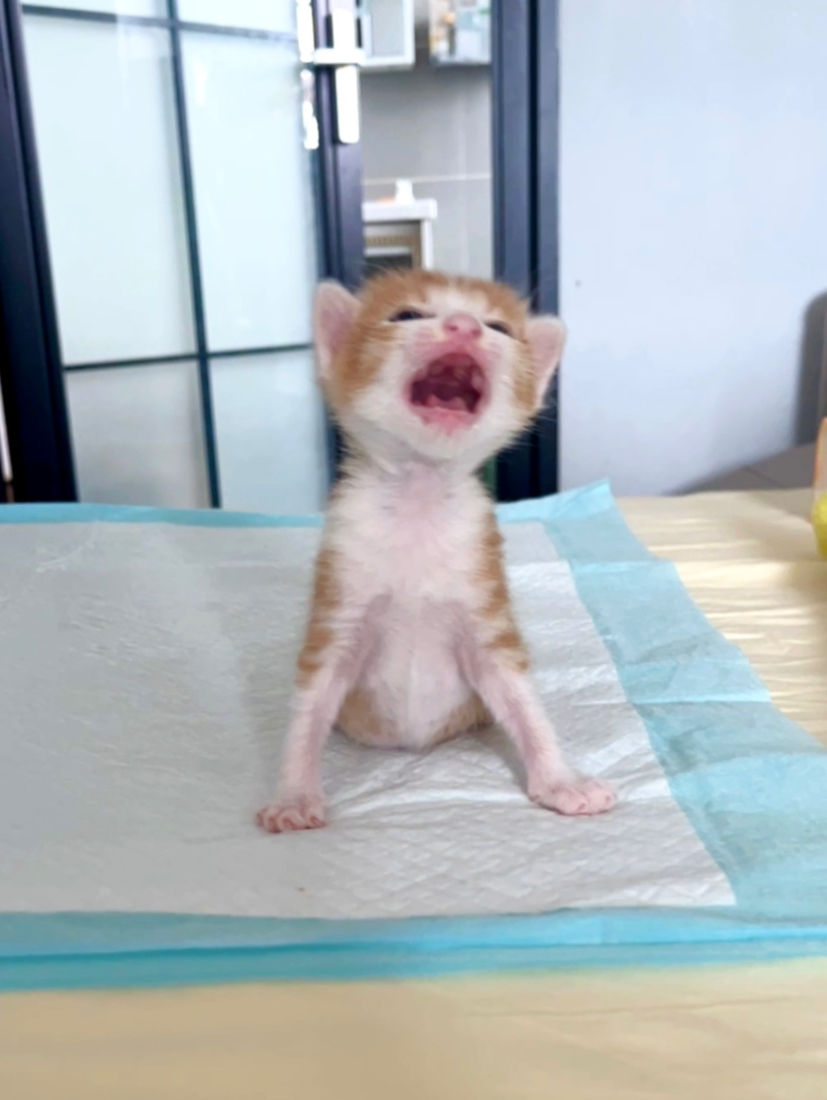 终于理解为什么孩子能拴住妈了