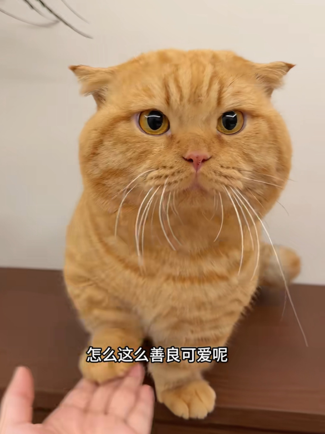 人，你看咪乘不乘～