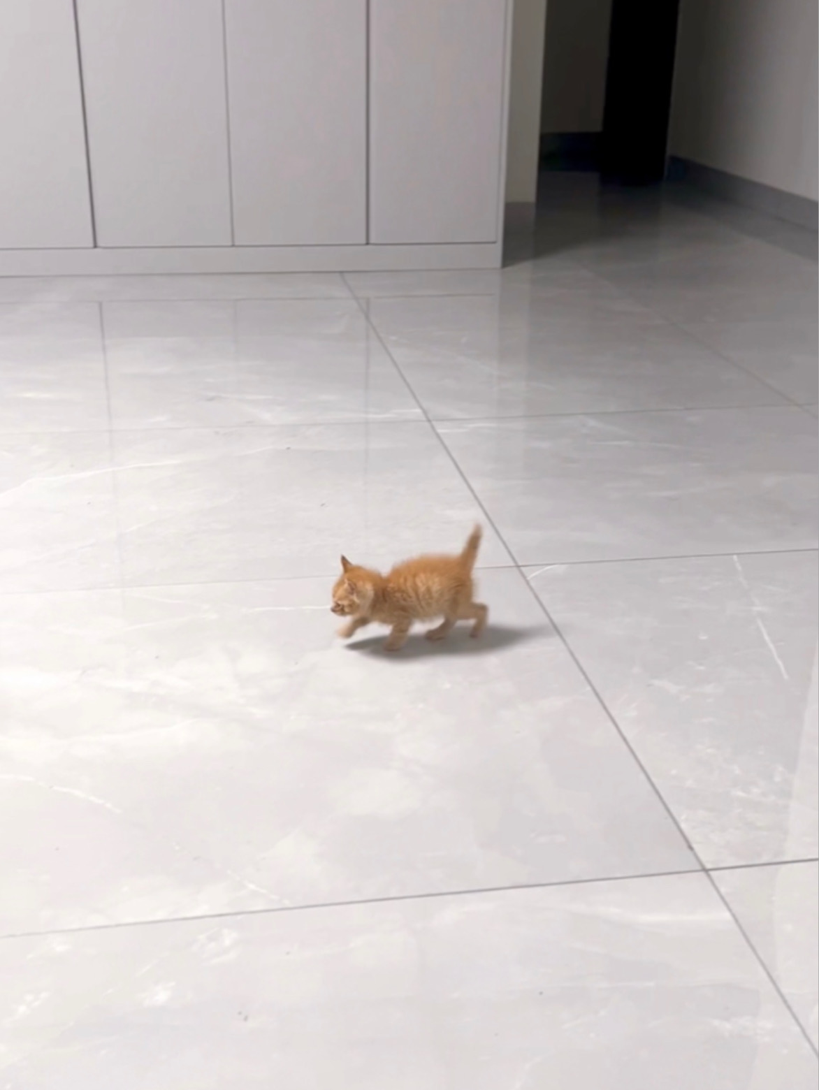 原来真的一眨眼就长大了