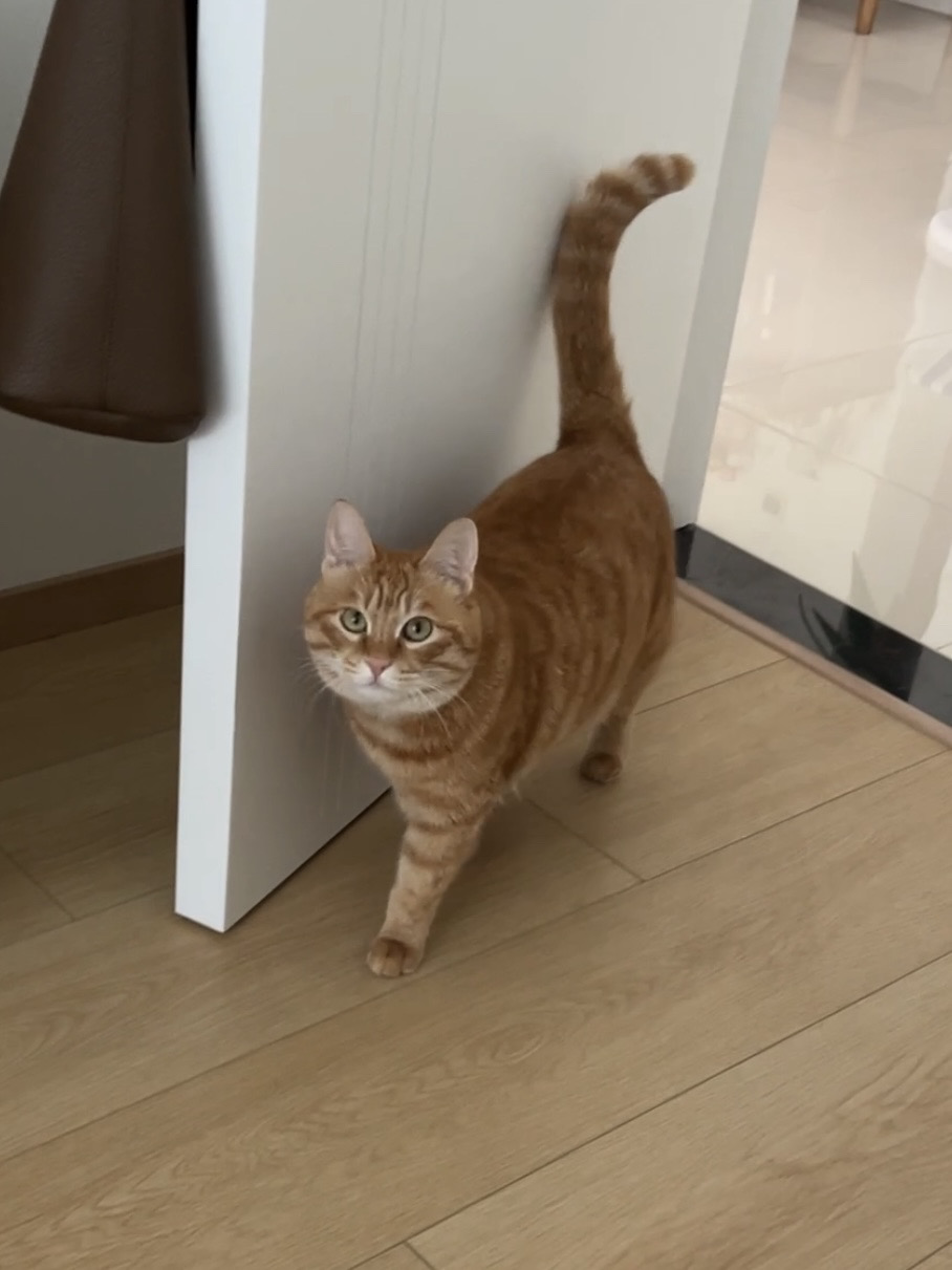 合租四年半，室友从不收拾自己，牙不刷脸不洗