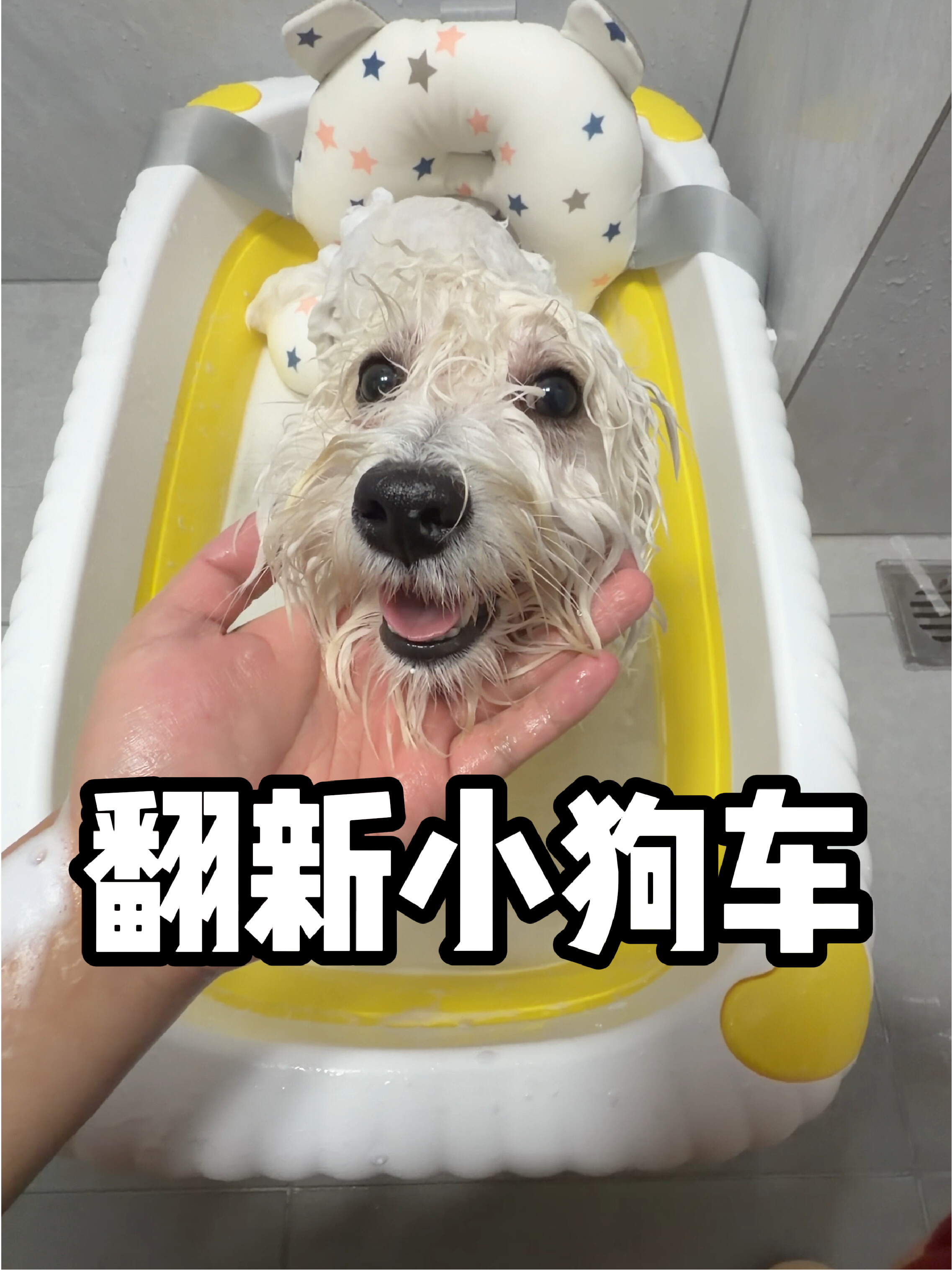 沉浸式翻新小狗车