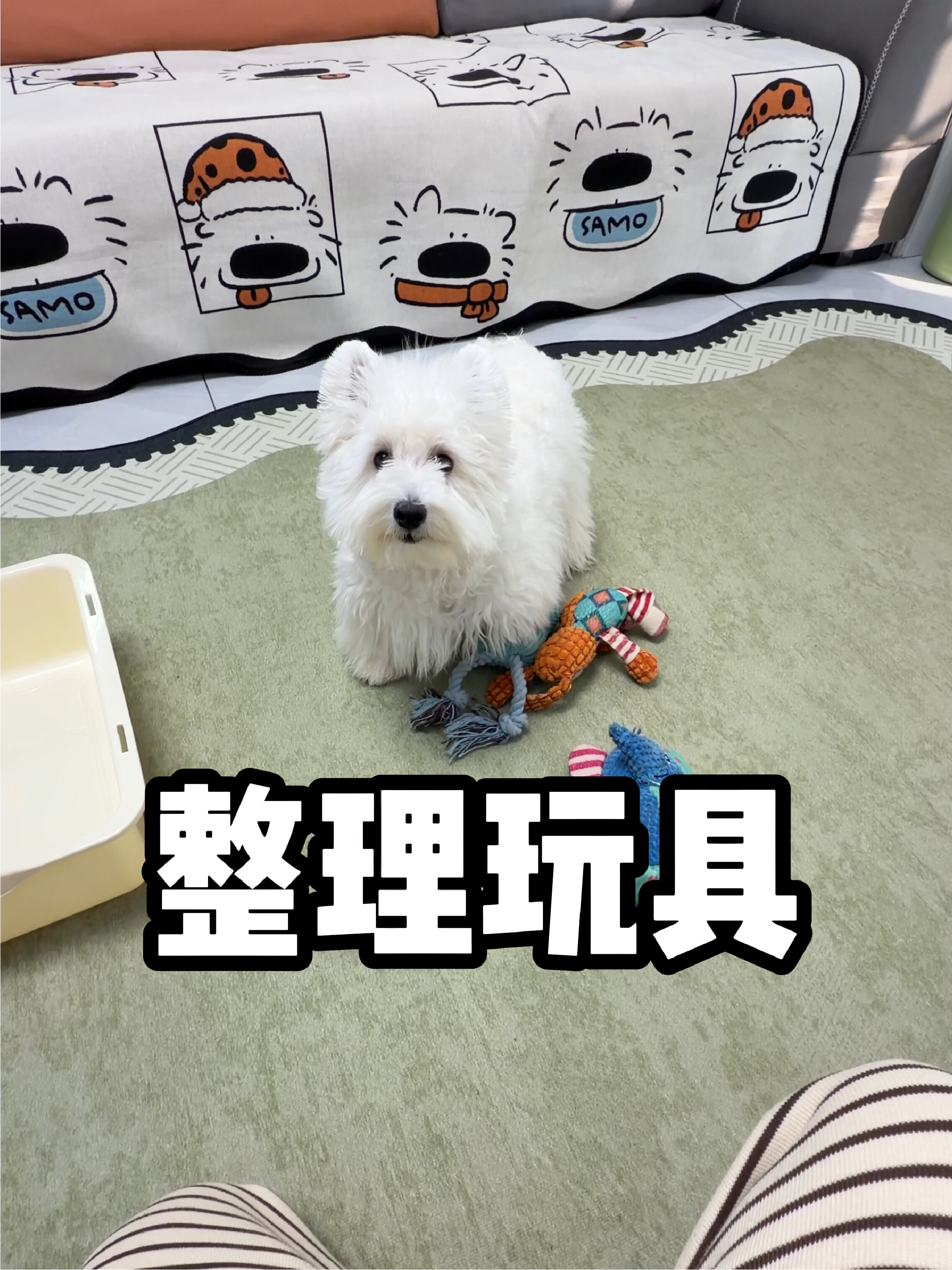 呀比简直就是个天才