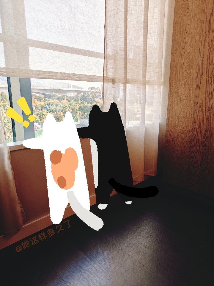 猫是向往自由的