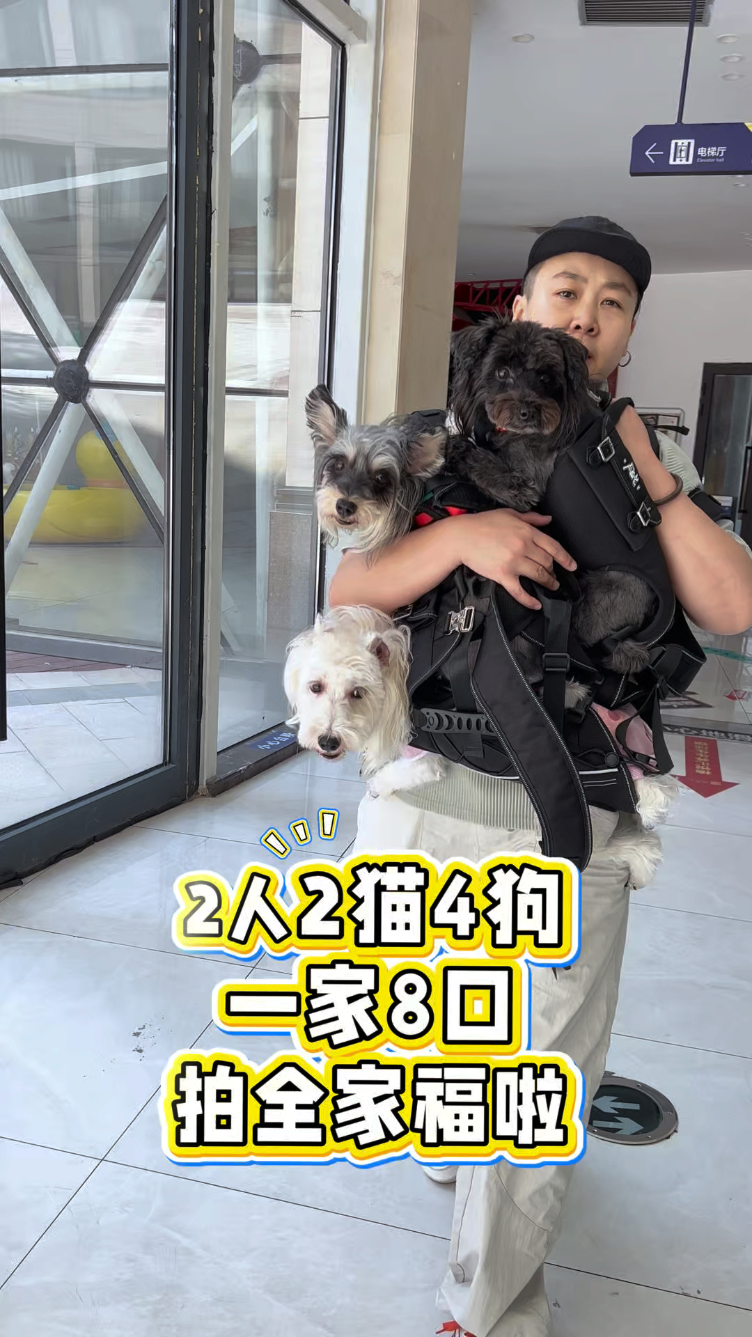 我们把捡的两只露娜小猫养大啦