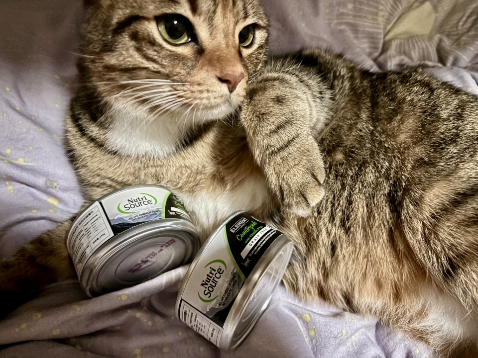 测评NutriSource鸡肉味零食罐头