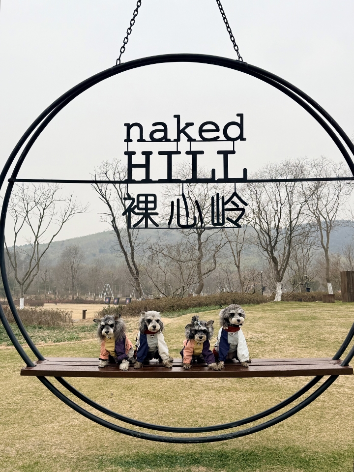 毛孩子的快乐时刻准～～～妈妈的奔溃瞬间～～～