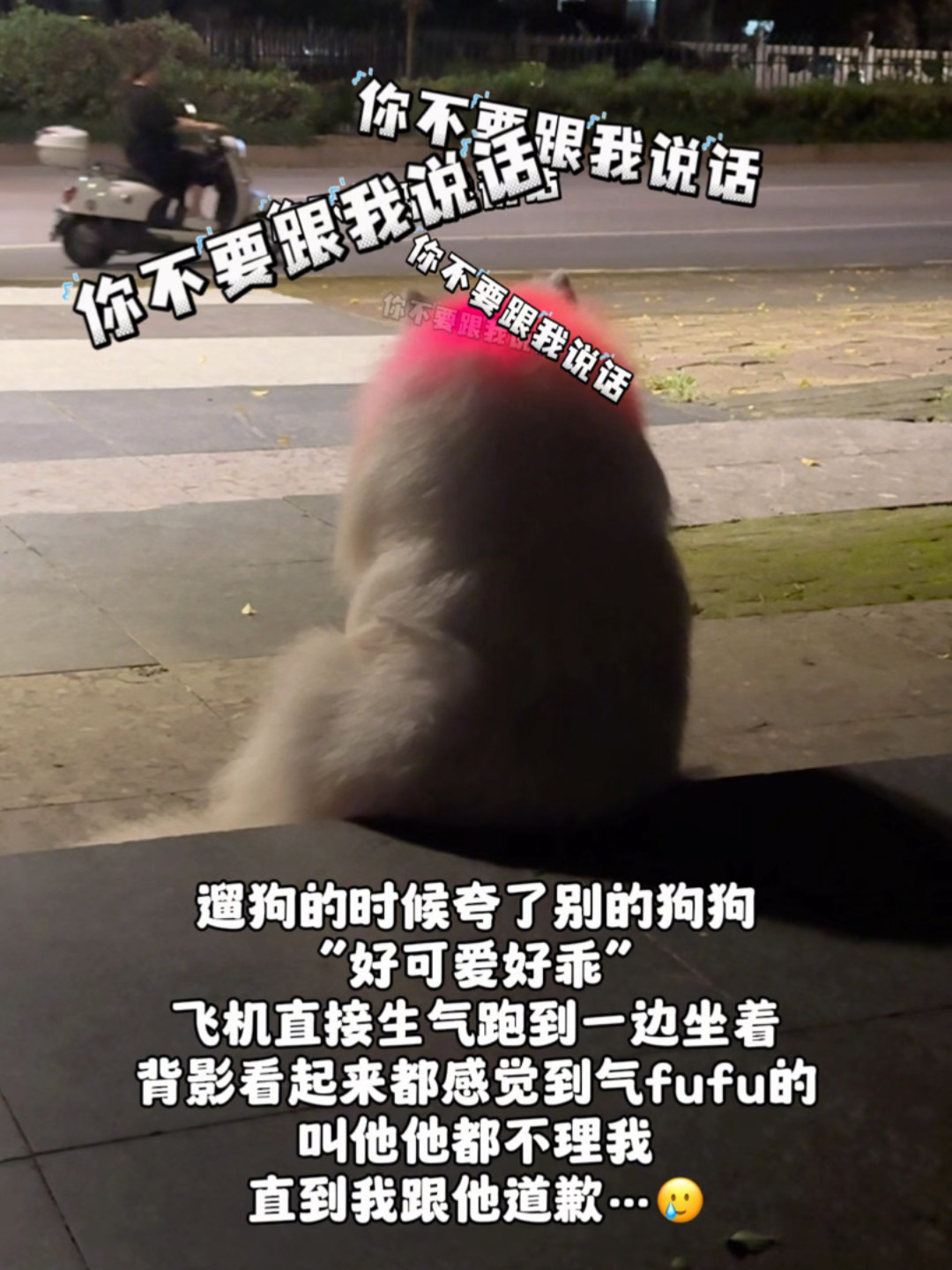 这不是小孩子是什么！生气哄哄就好了～