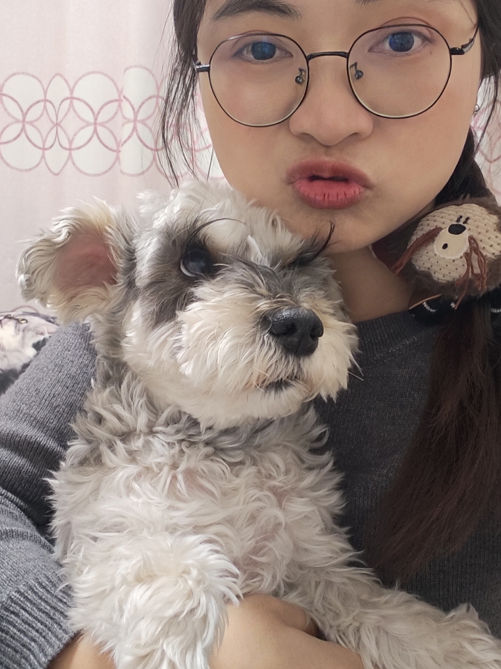 小狗：又是被迫营业的一天啊！