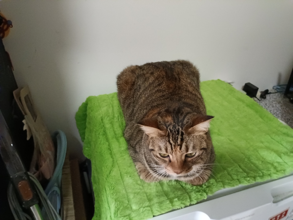 好像有心事的样子30