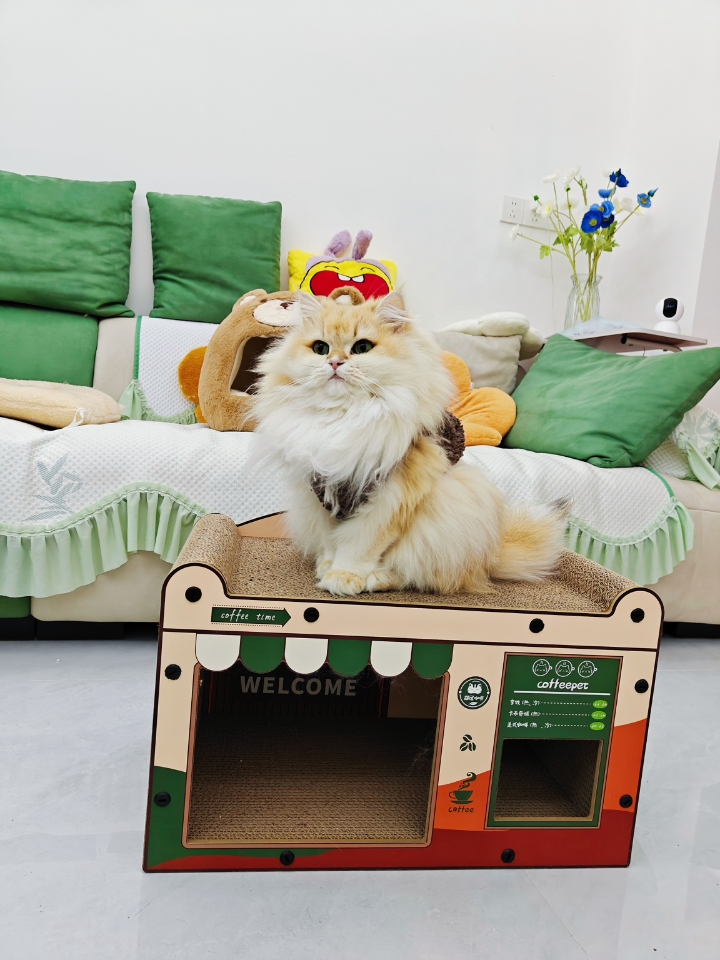 泡芙一体式卡通猫抓板窝测评