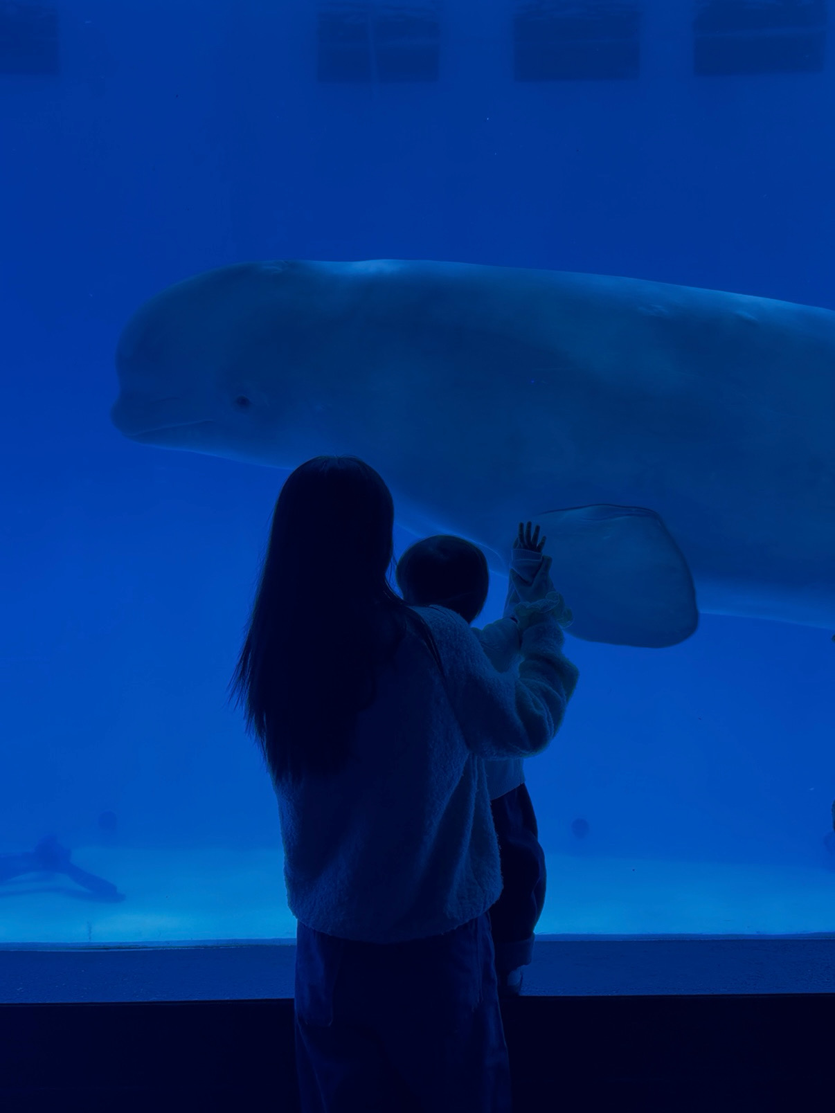 我的育儿经｜用今天的确定，守护明天的可能