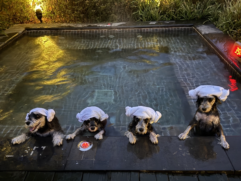 大冬天的，泡个汤～～～