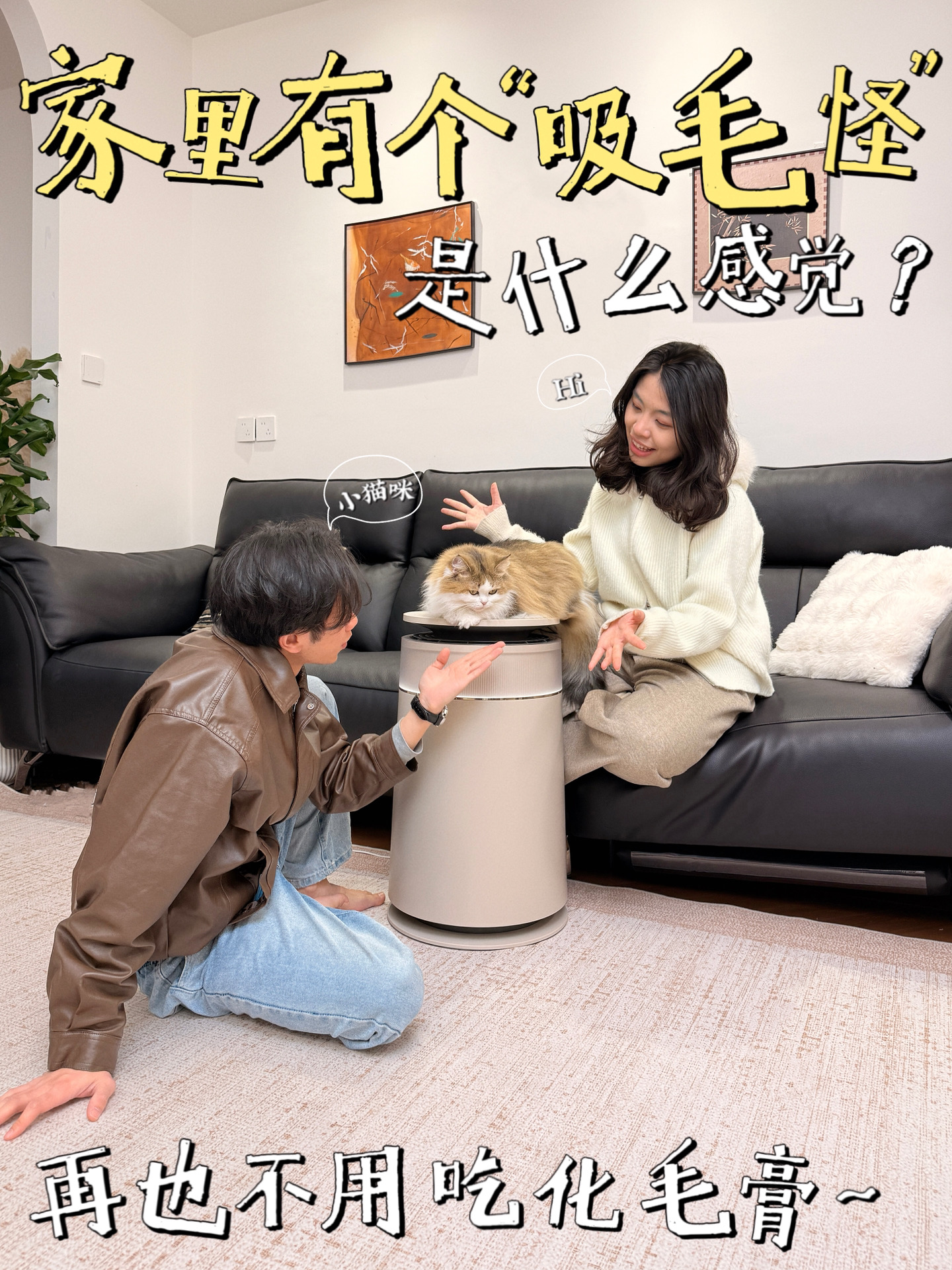 铲屎官的好日子终于终于来了❗