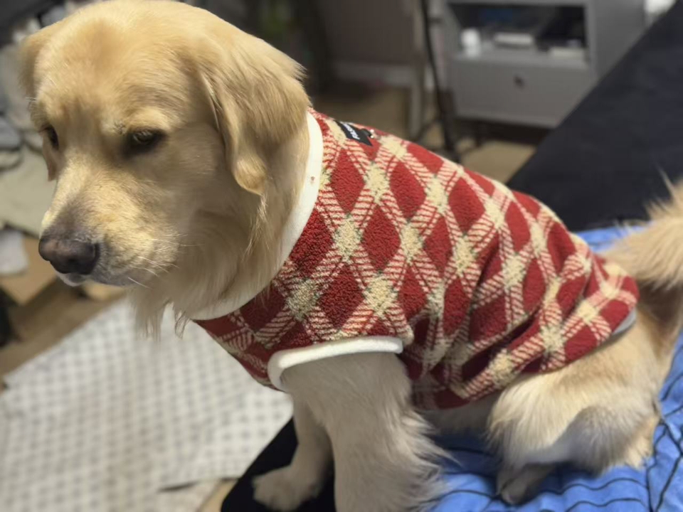 养柯基10年，分享下超有用经验（含神经炎） 我家狗狗已经10岁多了，身体一直嘎嘎棒 给大家分享下喂养经验  ①保 证营养均衡 吃的好狗狗才能长得好 要注意补充蛋白质、维生素  ②每天运动至少1个小时 柯基是一种精力旺盛的狗狗，每天需要进行至少1小时的运动 可以带狗狗去公园、草地或者其它开阔的地方，让它自由玩耍 也可以给它一些玩具，如球、飞盘等，和它一起玩耍 犬✅猫心脏肥大，心ji肥厚，无li、ke...