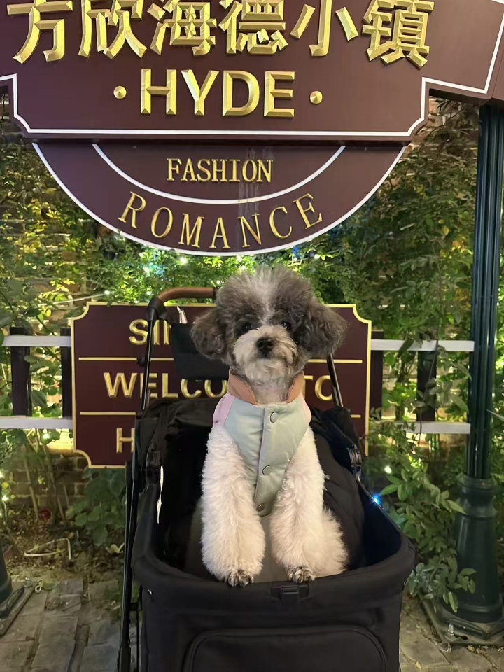 吃了一周的药现在终于情况好一些，我也调整好了心情想写一下关于我家小狗生病的事情 ————————————————— 我家狗狗是只边牧，今年6岁了，体重24kg，平常都很健康，也挺活泼的，但是从五月中旬那会，狗狗就开始不太精神了，食欲下降，也不爱动，总是趴在那，然后到了5月25号晚上，我发现它就趴在它的那个小窝里面一直呜咽着，还时不时的会有抽搐，摸一下它还不让碰，一直在叫着。 ———————————...