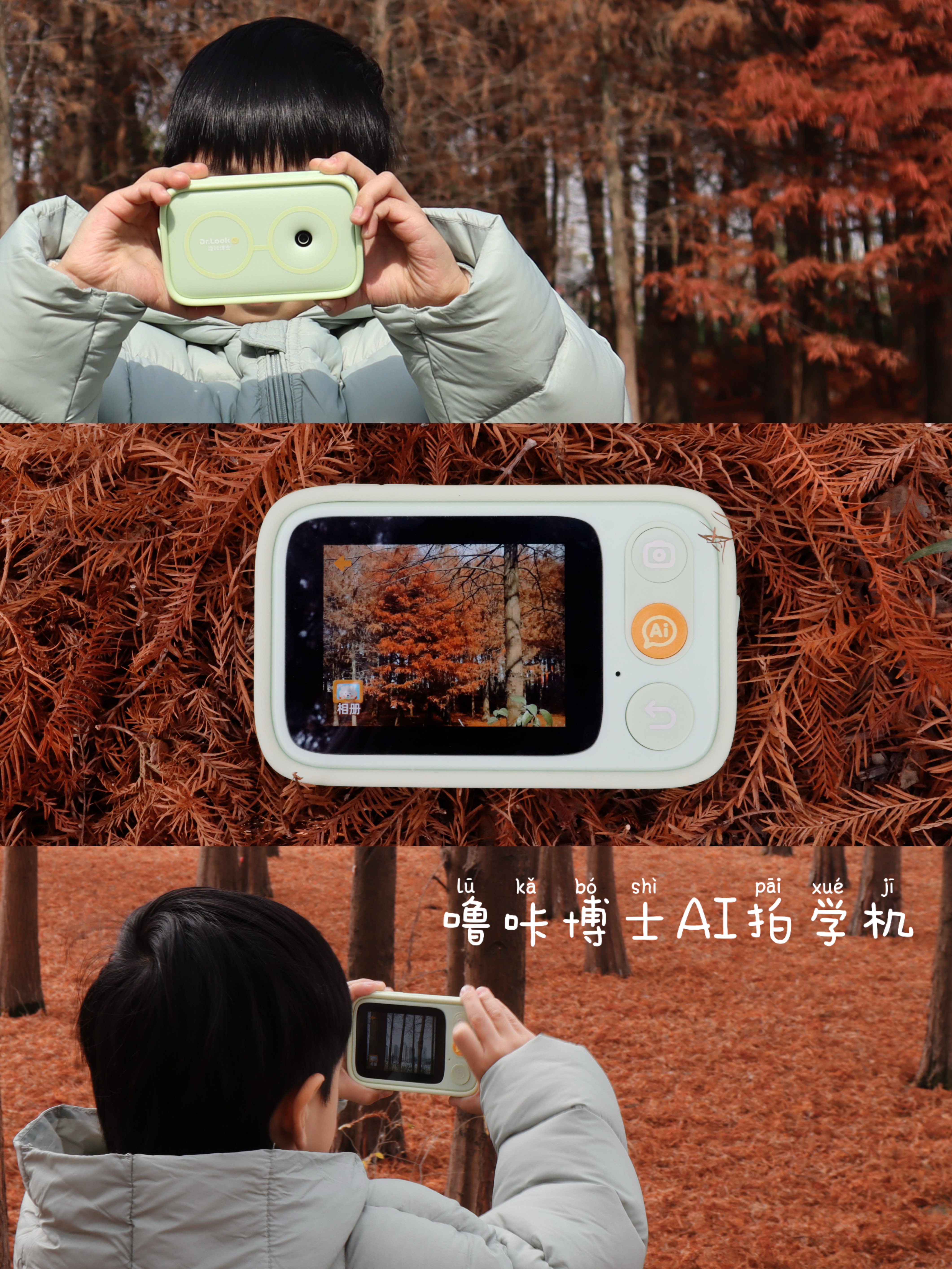 新年送礼天花板|一拍就能解锁冬日自然