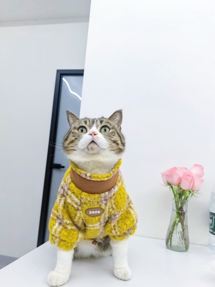 zeze冬季保暖格纹夹克测评！