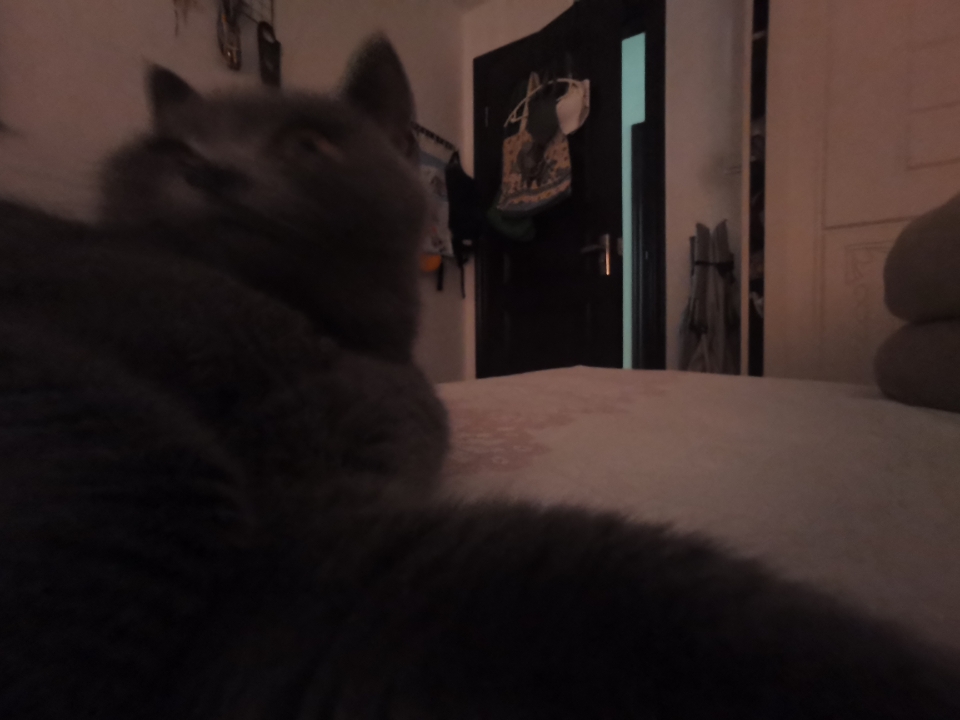 躺下后涂上凝胶，仪器接触皮肤时是一阵舒适的清凉感，完全不像传统脱毛有灼热刺痛。美容师手法很专业，会细致调整能量，腋下每个角落都照顾到。