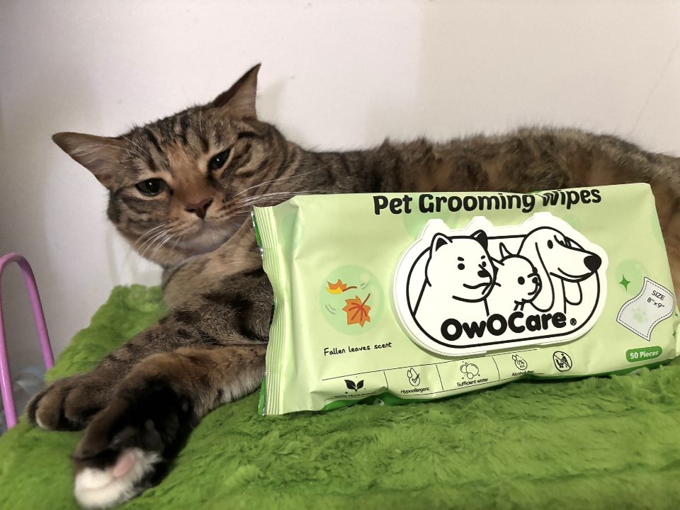 OwOCare宠物湿巾测评