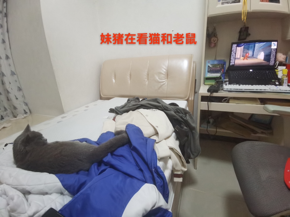 本人没追过星，对于你们这种痴迷于明星的行为我很是不理解。我感觉应该分清现实和理想，他们好看归好看，但是终究不是我们能遇到的的，我们要活在现实，每天去想一些实际的事，去充实自己的生活，而不是天天盯着电视上的那些明星。自己的幸福要自己去追求，绝对不能被虚拟的事物蒙蔽了双眼。