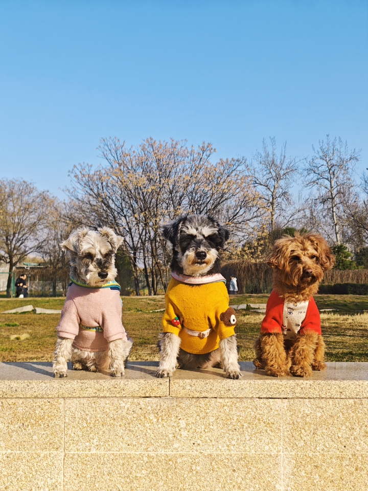 怎么觉得有点可爱呢！