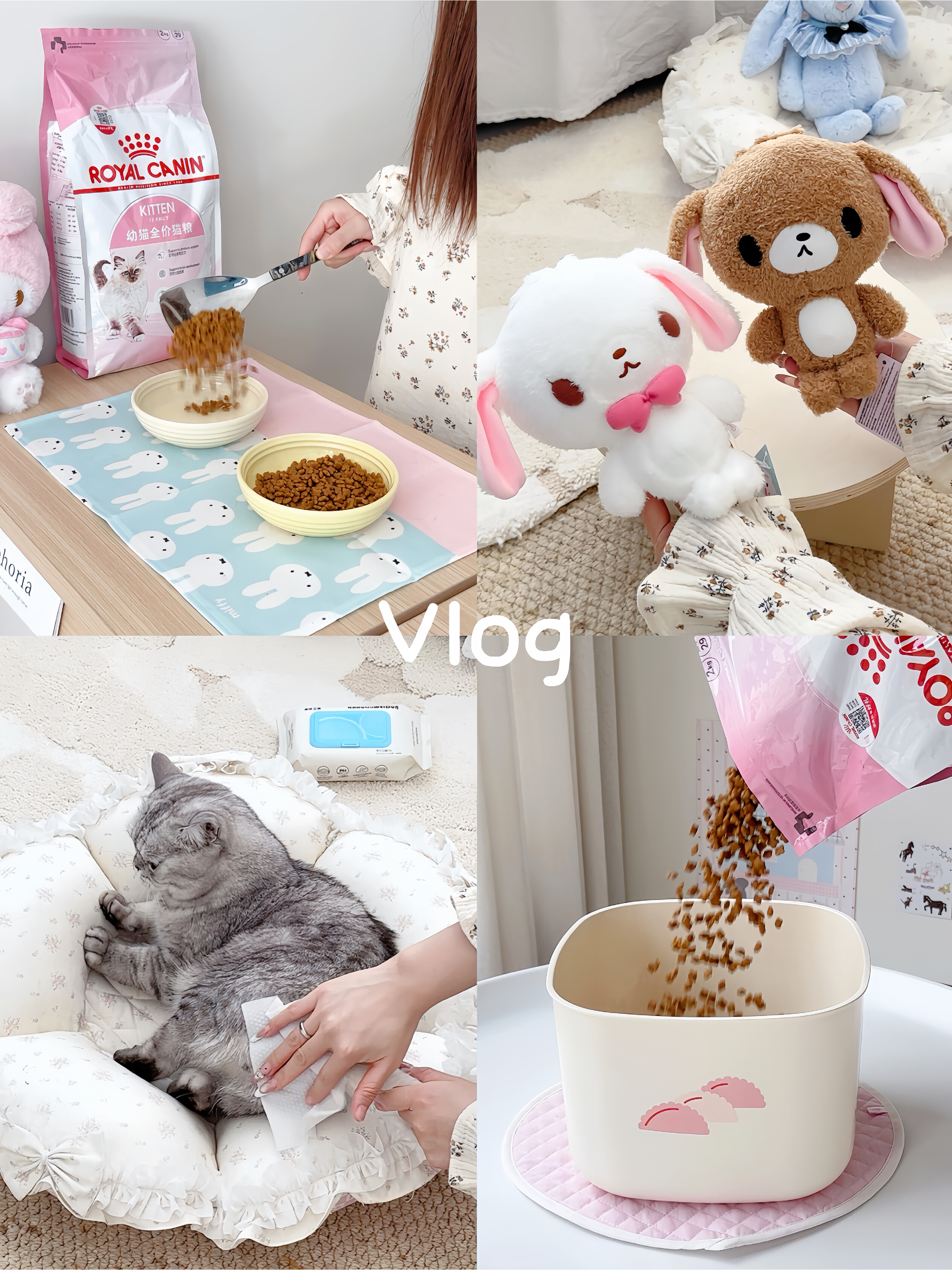 vlog☁ |沉浸式体验独居女生晚起1h养猫日常