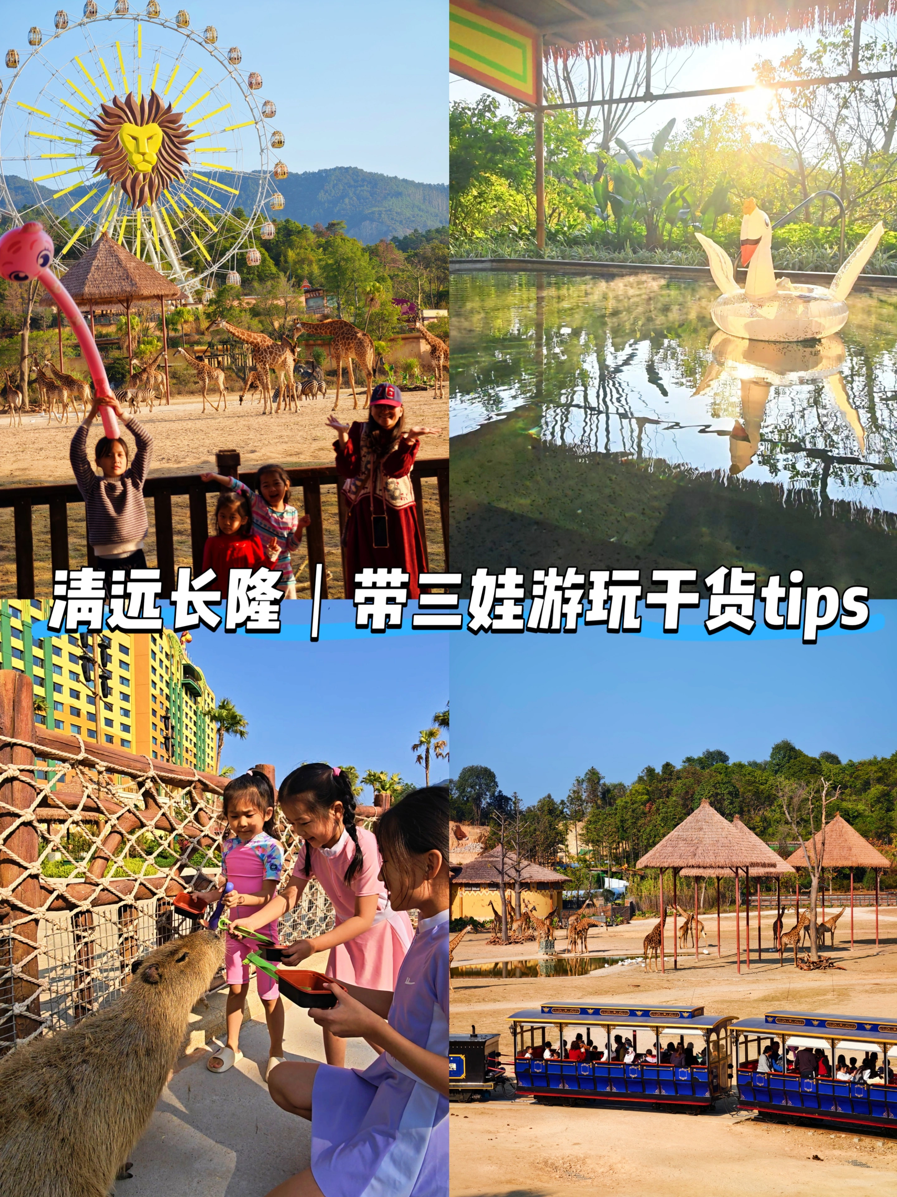 带三娃游长隆🦒泡温泉+看动物 好玩不费妈