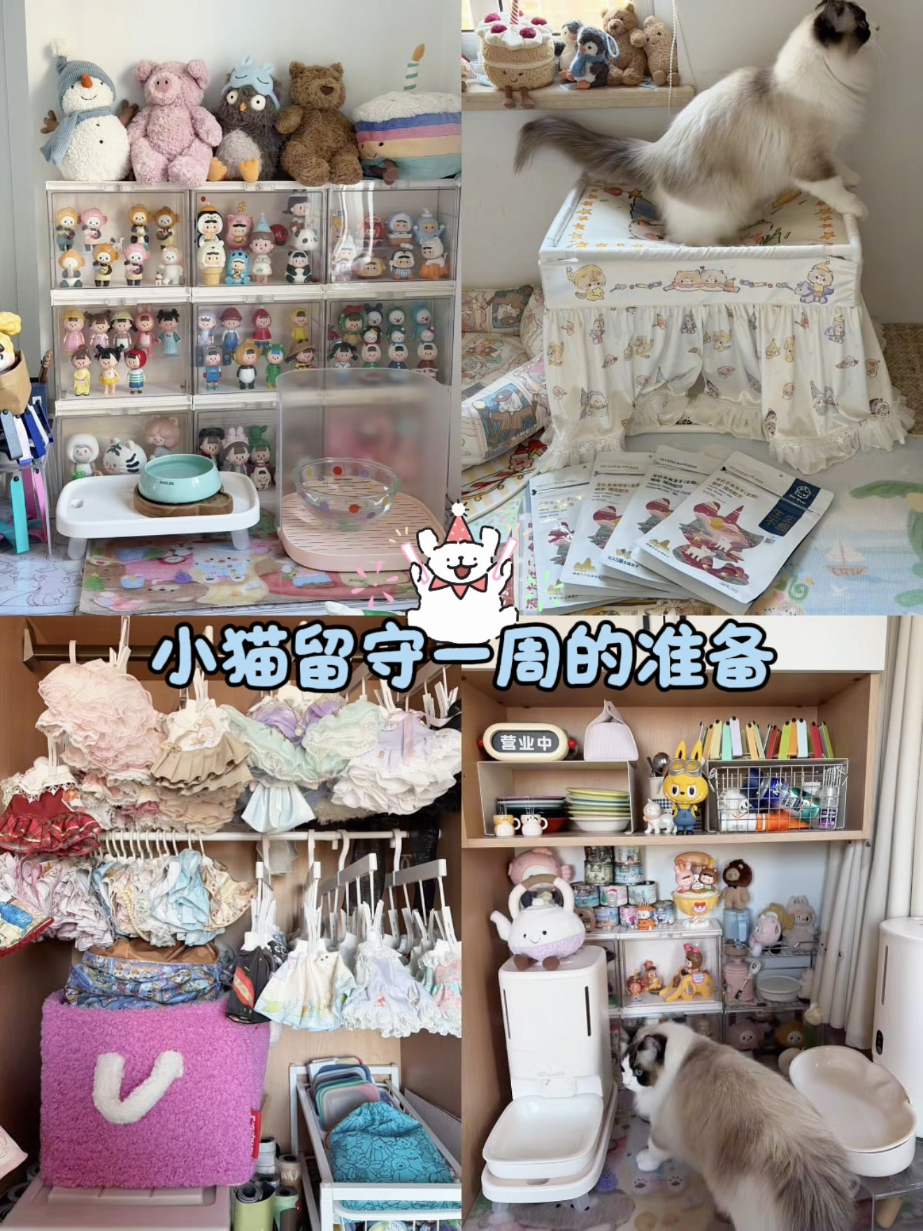 📝抄作业｜双猫家庭过年留守一周的准备攻略