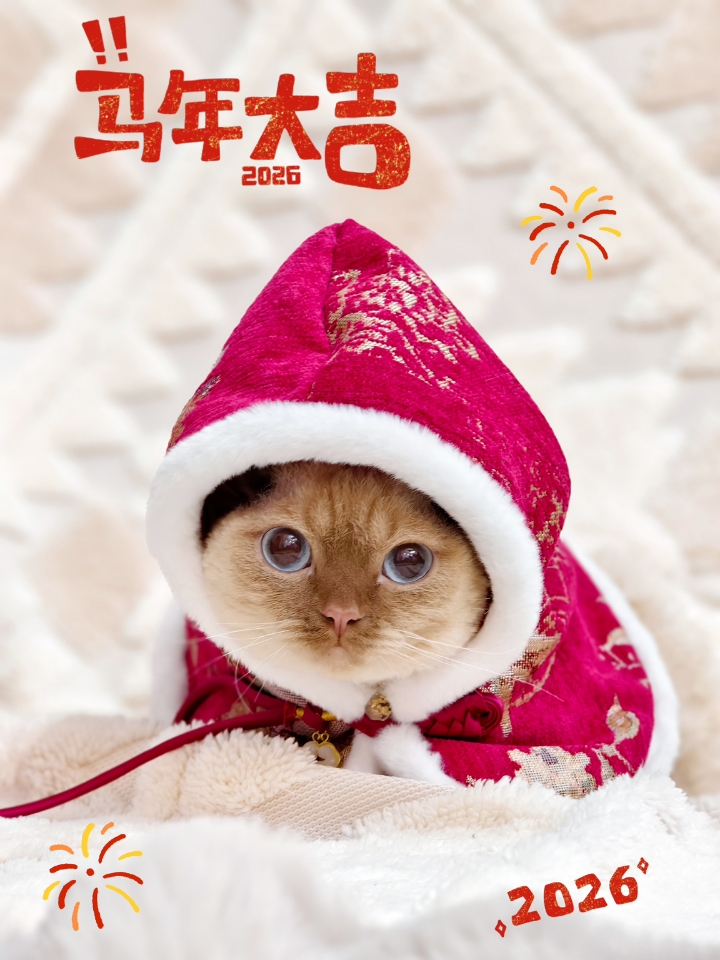 🎆小茂密新年祈福🎆