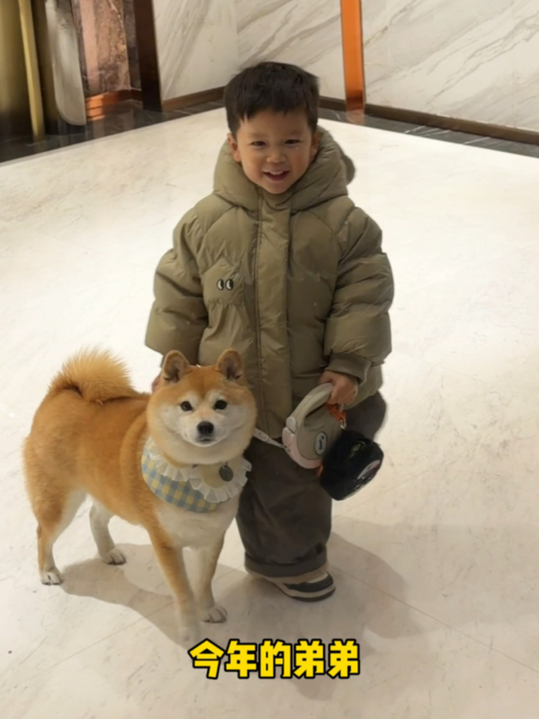 番茄：弟弟求求你，找点事做吧！！